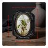 Vintage Picture Frame French Evocative of Design Ornate Photo Lightweight