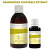 Chamomile Extract Tincture Herbal Liquid Supplement Dietary New Life
