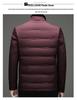 Men's Business Casual Lapel Down Jacket - Autumn/Winter 2025