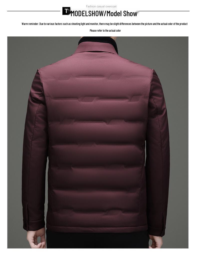 Men's Business Casual Lapel Down Jacket - Autumn/Winter 2025