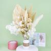Nordic Bohemia Simulation Flower Bouquet 26pcs Rabbit Tail Grass Reed Cattail Fan Palm Leaf DIY Flower Arrangement Home Wedding
