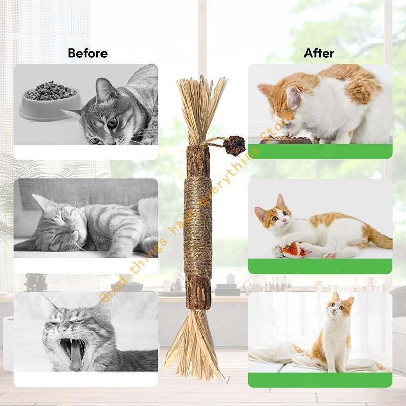Natural Catnips Toy Teeth Clean Dental Care Teaser Toy Treats 3pcs 55KF