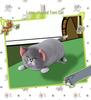 Tom and Jerry Plush Toy Transformation Series - Children's Gift Ornament