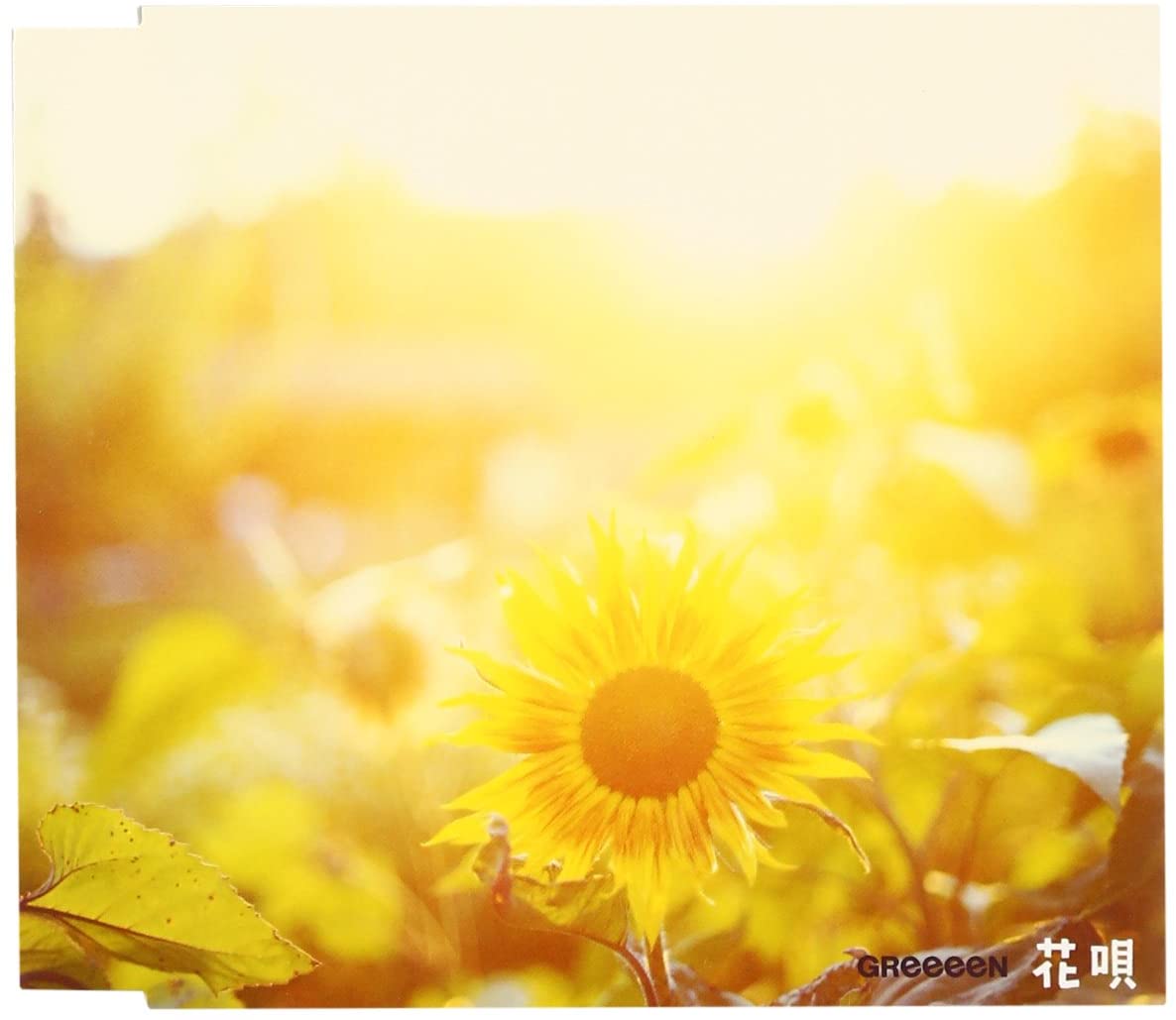 

CD GREEEEN - Hanauta UNIVERSAL Japan ObiJapanese Pop/Rock Used