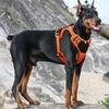 Dog Vest Adjustable Training Harness for Large Medium Dogs Harnesses Strong Multifunctional Leash Harness Soft Handle