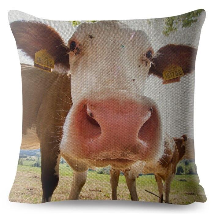 cow pillow covers