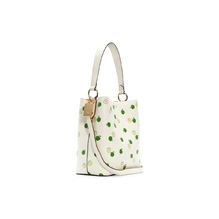 Coach Town 26 Green Apple Print Leather Bucket Bag Women bags White C4301-IMSIT