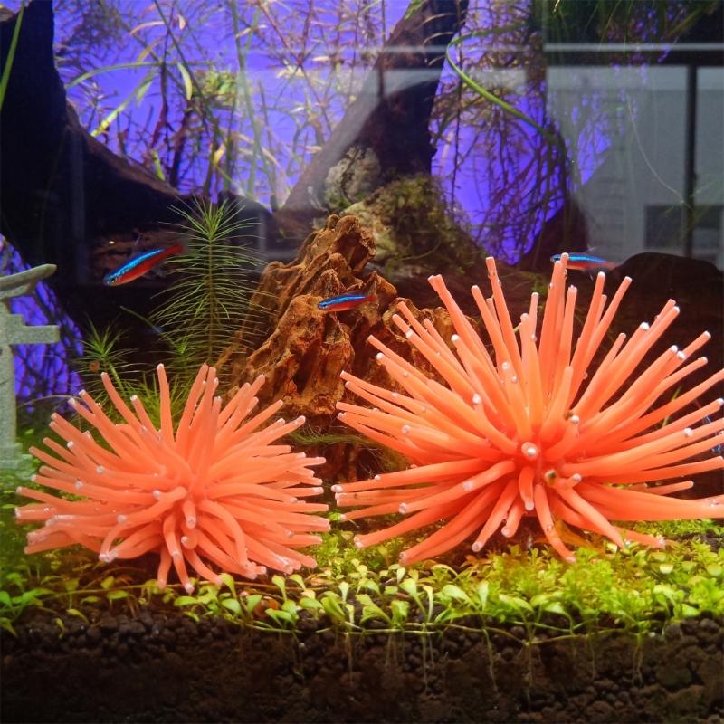 Aquarium Accessories Soft TPR Urchin Decoration Fishtanks Underwater Ornament Landscaping Safety Plant Decors 6Pieces