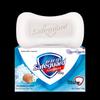 Safeguard Sea Salt Scent Bar Soap