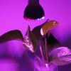 28W Power Led Grow Light 85V-265V Plant Grow Lamp Practical Growing Lamp Bulb  DIY Hydroponics