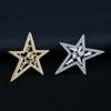 Elegant Star Zirconia Lapel Pin: Unisex Luxury Brooch & Anti-Exposure Buckle