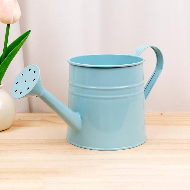 Creative Green Watering Can for Plants and Succulents - Decorative Spray Bottle for Gardening and Flower Arranging