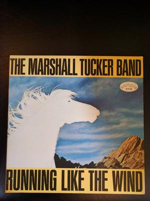 Hobi & Yaratıcılık – Müzik