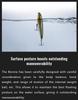 Jackall Bonnie 65 Floating Lure Dark Phantom (1722)