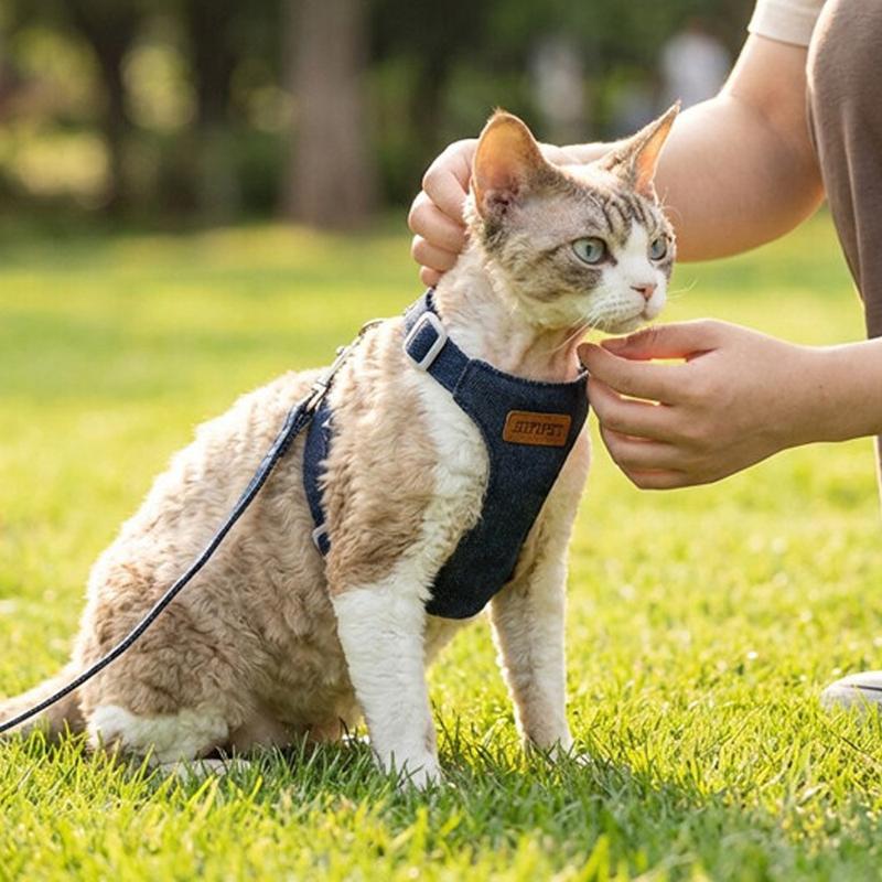Hundegeschirr-Set mit 2M Leine Denim-Geschirr Verstellbarer Gurt für kleine und mittlere Hunde Katzen Hundezubehör Outdoor für Bichon Frisé