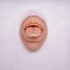Silicone Ear, Nose, Tongue, Navel, Eye, and Mouth Model of Human Senses