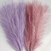 10 st 35 cm fluffigt pampasgräs konstgjorda blommor falsk växt simulerad vass bukett boho bröllopsfest heminredning
