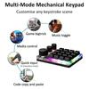 16 Keys 3 Mode Macro Mechanical Keyboard Portable USB RGB Gaming Custom Programming Knob One-handed Mechanical Keyboard