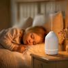 Wood Grain Seven-Color LED Aroma Diffuser & Humidifier for Home & Desktop