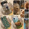 Capybara Animal For Honor 50 Lite 8X 9X 10i Case For Huawei P50 Pro P30 P40 P20 Lite P Smart 2021 Nova 5T