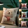Love Family Companionship Teddy Bear Pillow Case Comfort Sofa Bed Silky Elegant Invisible Zipper Decorative Cushion Cover