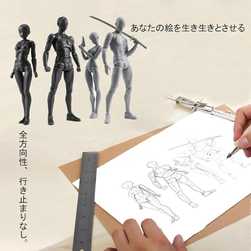 Drawing Mannequin, Model Doll, Figure, Body-chan, Manga Character, Illustration, Drawing Practice, Art, Male/Female Model, 1/12 Scale, with Stand, Dol