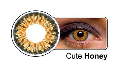 CELEBRATION COLORS Quaterly Coloured Contact Lenses 1 Pair(Cute Honey,-0.00)