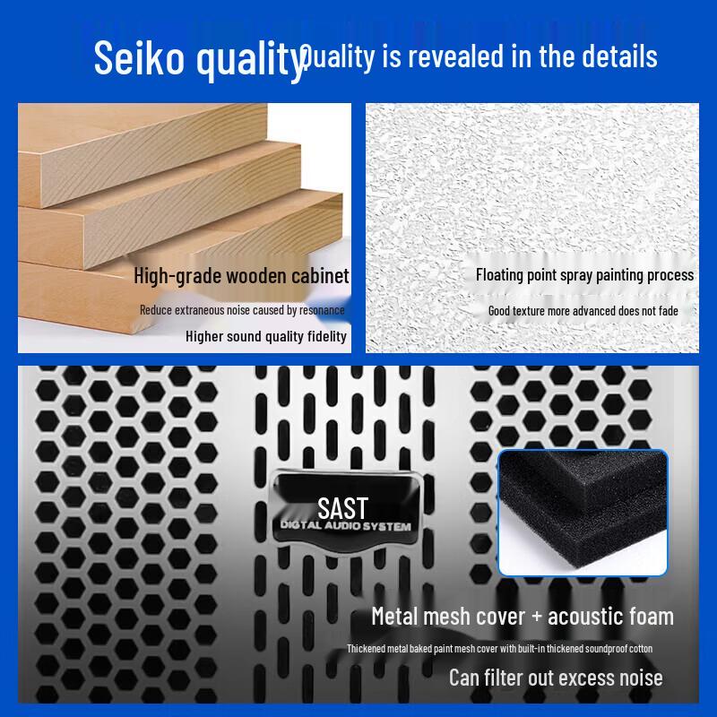 SAST Conference Room Wall-Mounted Speaker System CN plug (adapter included)