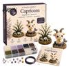 Relaxing Stress Relief Art Kits 12 Zodiac Signs DIY Beaded Garden Kit, 3D Astrology Flower Craft Plastic Ornament Crafting Materials Handmade Bead Kit