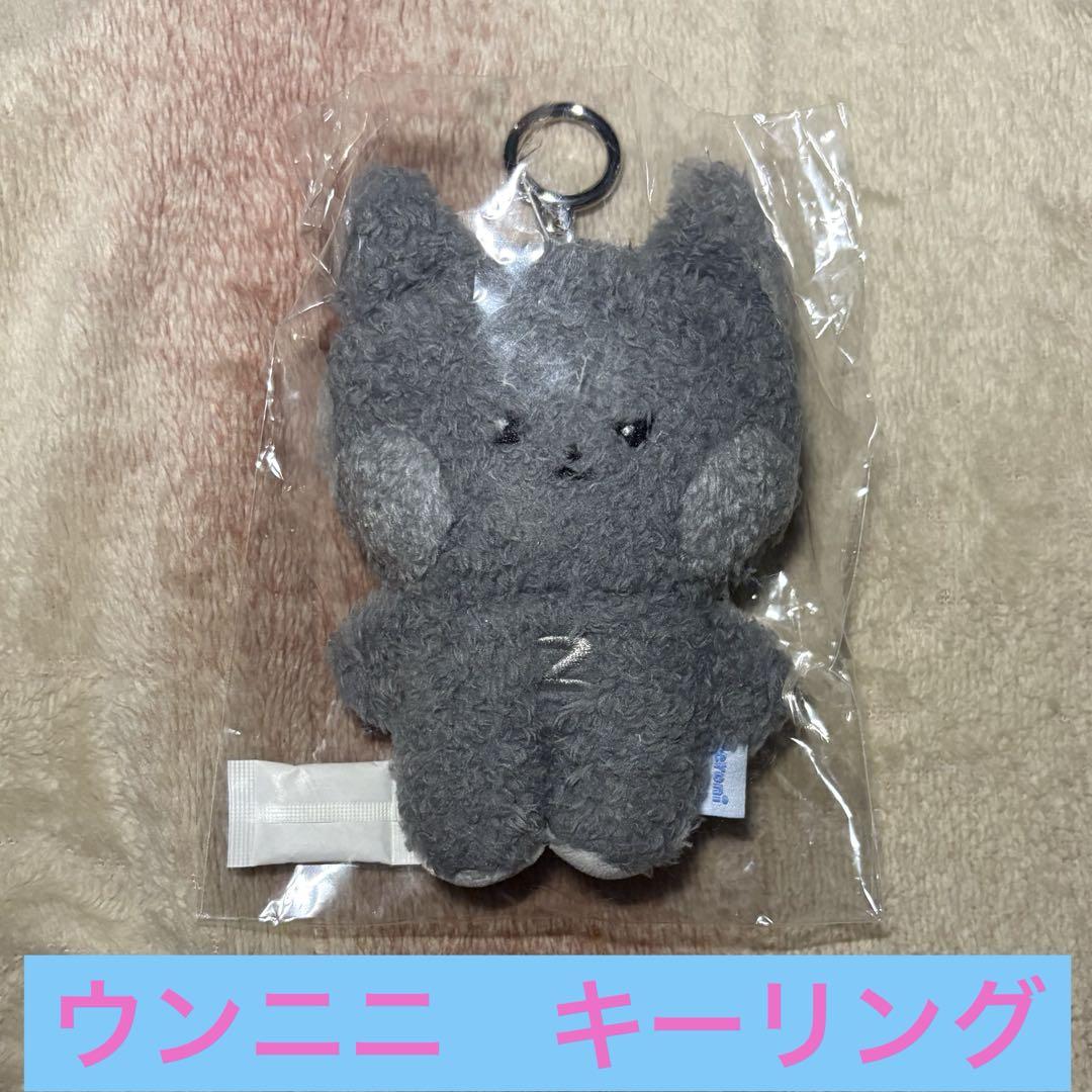 

[Б/У] zb1 Zebewan Поп-ап Корея Ограниченный Уннини Джиун Брелок Плюшевая игрушка