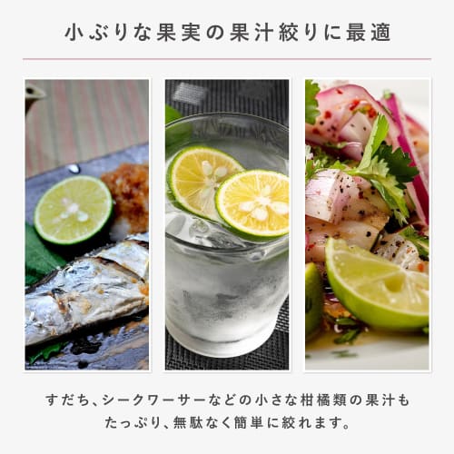 KAI Squeezer Frukt Squeezer Mini Kjøkkenverktøy SELECT100 DH3011 Sølv