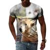 Letní móda Polar Bear Image Pánské ležérní tričko s 3D tiskem Hip-hop personalizované kulatý výstřih Top s krátkým rukávem