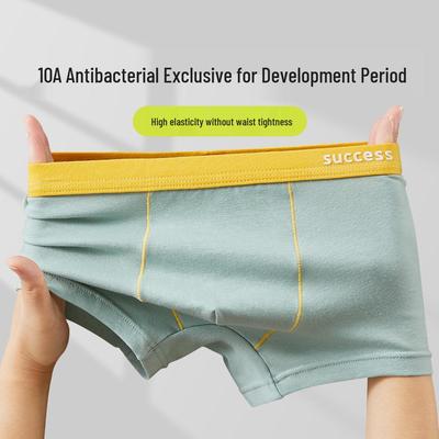 Niños (más de 4 años) – Ropa interior para niños