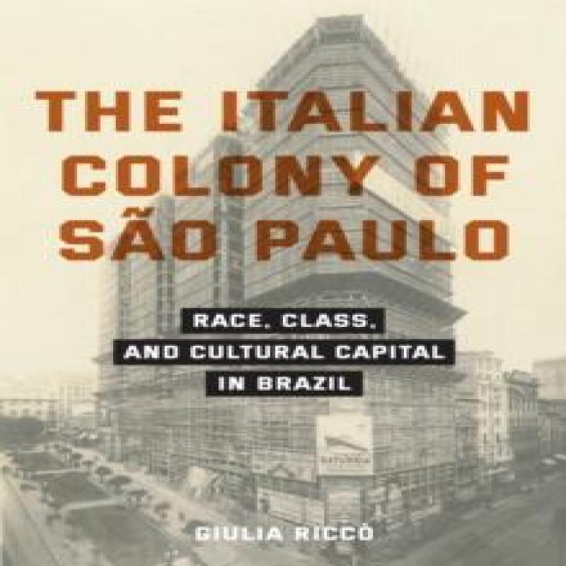 Die italienische Kolonie São Paulo von Giulia Ricco Taschenbuch 9781531512255