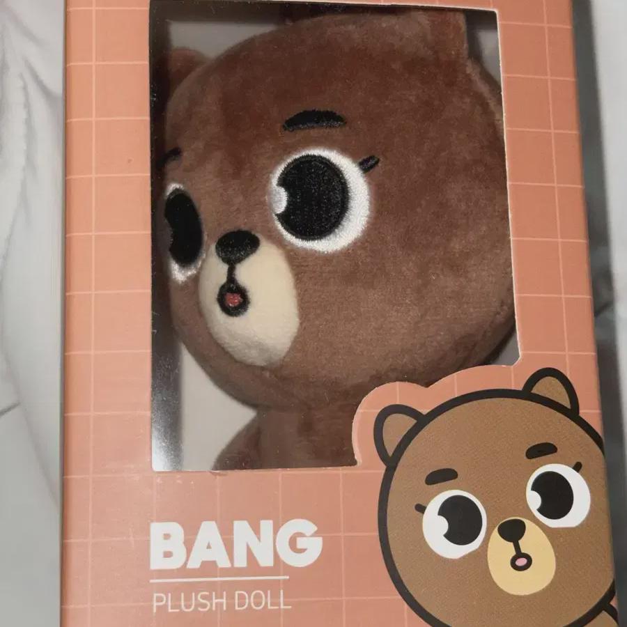 

Day6 Denimals 24 Room