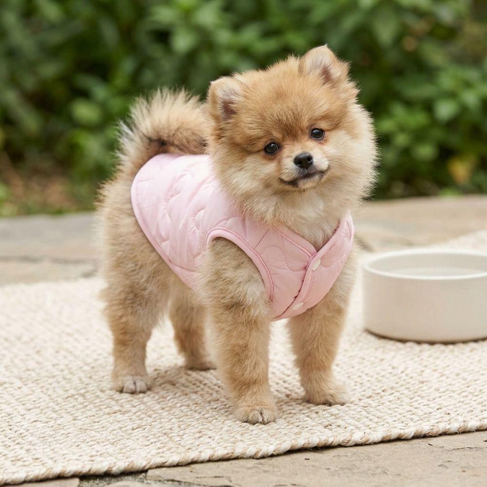 Breathable Liner Dog Down Jacket Round Neck Puppy Winter Cotton Coat  Daily Walking