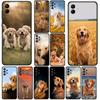 Cover for Huawei Mate 20 P30 P20 Lite Pro Y7 Y6P Y7A 2019 Nova 5T 3I Casing Phone Case Golden Retriever Dog