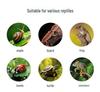 Reptile Pet Humidifier & Fogger with Tube for Lizard, Turtle, Chameleon Tanks (110V)