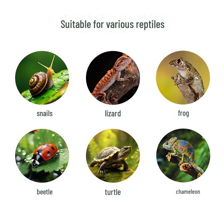 Reptile Pet Humidifier & Fogger with Tube for Lizard, Turtle, Chameleon Tanks (110V)
