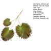 Artificial Leaf No-Maintenance Long-Lasting Freshness Realistic Fan-Shaped Leaves High-Simulation Texture Fake Tropical Leaves Home Decor