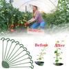 10 Stück, Topfpflanzen-Stützgestell/ Blumen-Gemüse-Ranken-Kletterhalterung/ Kreatives Dekorationsgestell für den Balkon, Pflanzen-Fixierstab Feststehend Gartenarbeit