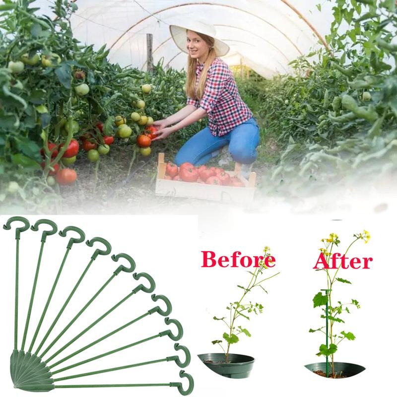 10 Stück, Topfpflanzen-Stützgestell/ Blumen-Gemüse-Ranken-Kletterhalterung/ Kreatives Dekorationsgestell für den Balkon, Pflanzen-Fixierstab Feststehend Gartenarbeit