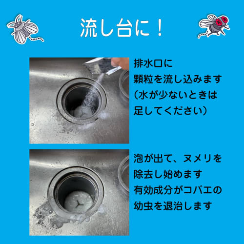 Ikari Disinfectant Drain Gyps Killer + More, 3-Pack [Insecticidal-Free] Foam Cleansing, Removes Slime, Eliminates Drain Gyps and Midge Larvae, Elimina