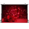 Valentine's Day Photo Photography Props Background Cloth Vinyl Backdrop Party Decor