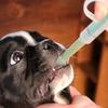 Pet Dog Cat Tablet Pill Gun Piller Push Dispenser Medicine Water Syringe Feed