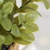 Green Artificial Plants Eucalyptus Grass Woven Small Potted Plants Grass Mound 11cm PE Material Home Decoration