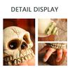 Resin 3D Skull Sculpture Ornament - Hand-Painted Realistic Halloween Decor, Perfect for Home/Office Parties & Table Decor