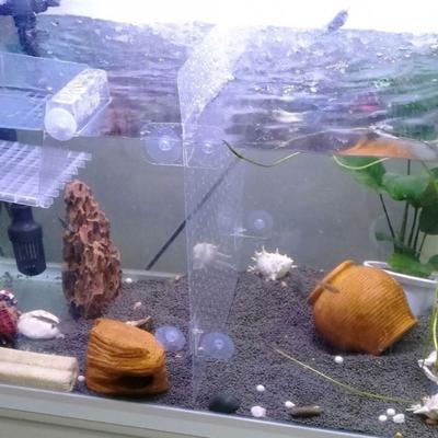 Bendable Fish Breeding Case Divider Acrylic Acrylic Divider with Suction Cup  Fish Tank