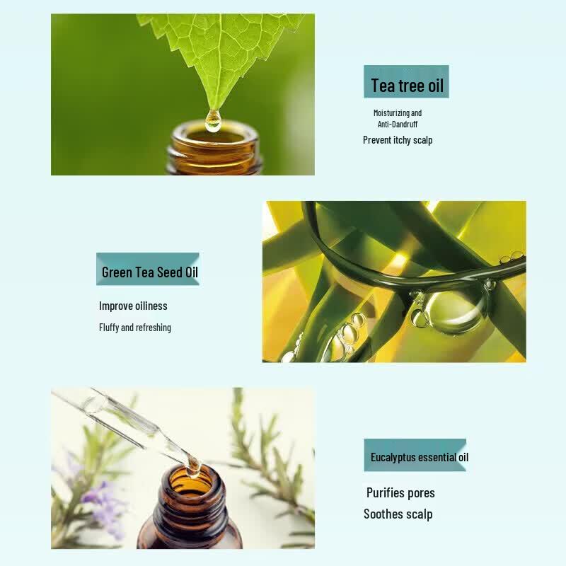 SLEK Green Tea Seed Oil Control Anti-Dandruff Shampoo