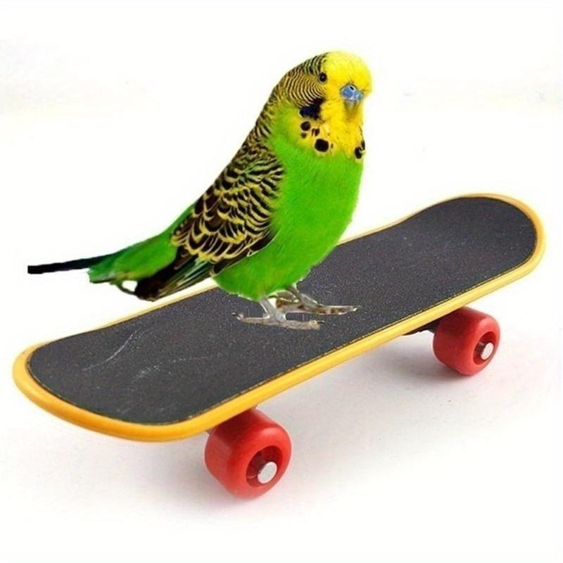 Bird Parrot Intelligence Toys Mini Training Skateboard Parakeet Growth Toy